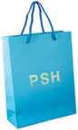 Paper Bag